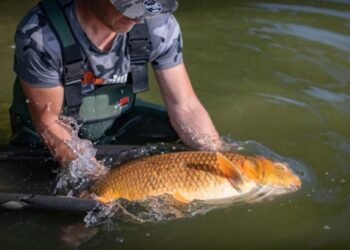 California Anglers North Platte River Fines