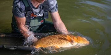 California Anglers North Platte River Fines