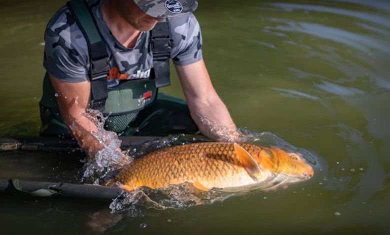 California Anglers North Platte River Fines