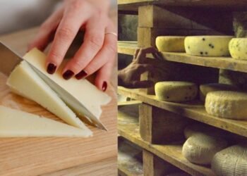 Quesito El Establo Cheese Recall