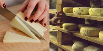 Quesito El Establo Cheese Recall