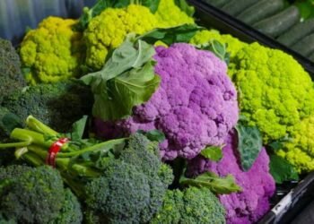 FDA Raises Recall of Walmart Broccoli to Highest Level