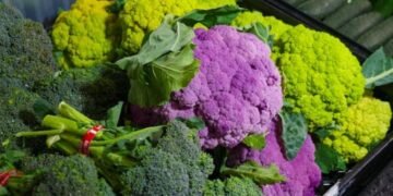 FDA Raises Recall of Walmart Broccoli to Highest Level