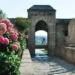 Design Applications for Bluestone Bullnose Stone in Hardscaping