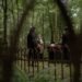 Direct Burial Description: A Simple, Honest Guide