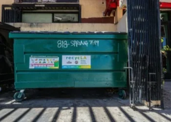 Dumpster Rental Options for Residential and Cleanup Needs in Palatine Illinois
