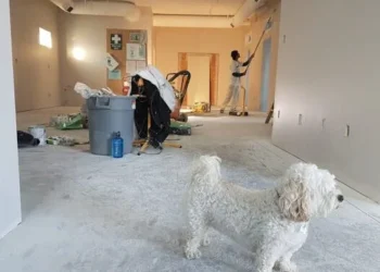 Whole Home Remodeling Options for Winnetka Properties in 2026