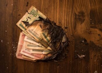 Loss Payee Meaning What It Is and How It Protects You